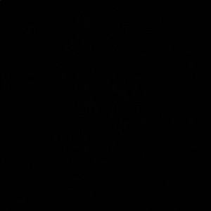 Meet your Posher, Diriel